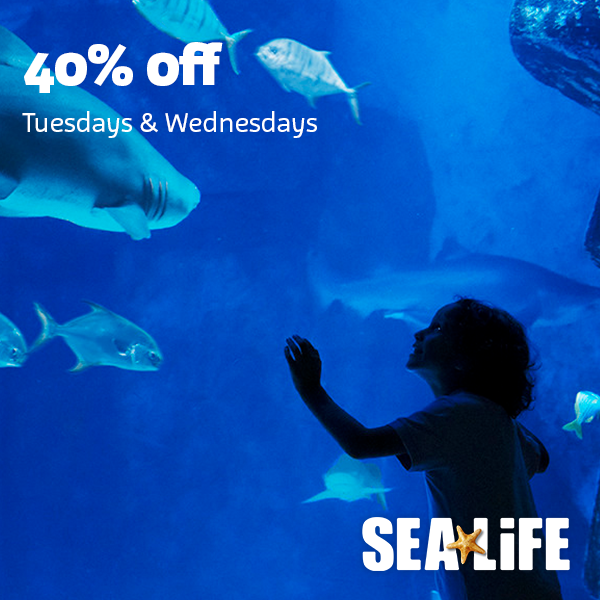SEA LIFE Weymouth